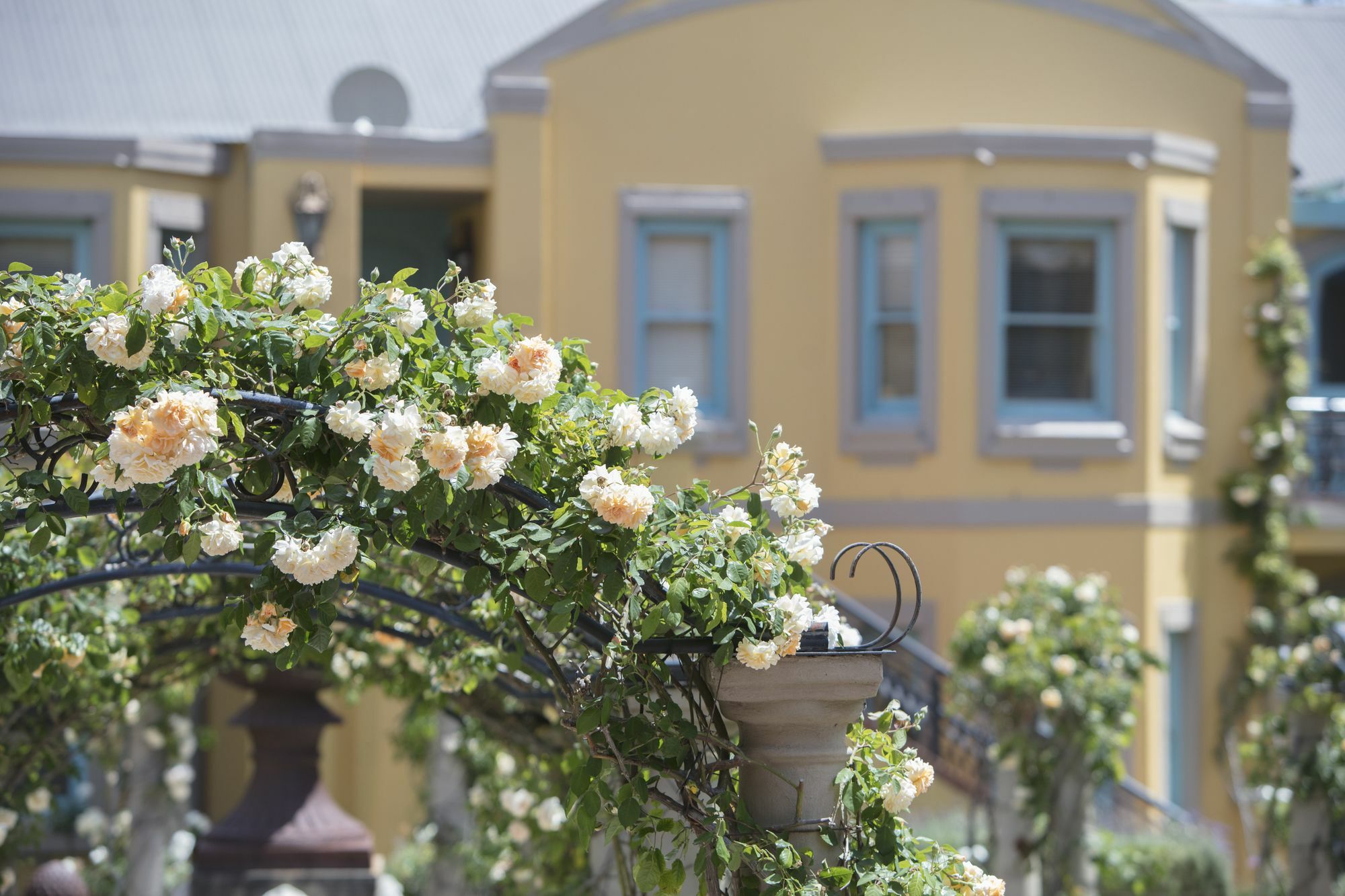 Franschhoek Country House & Villas Exteriér fotografie