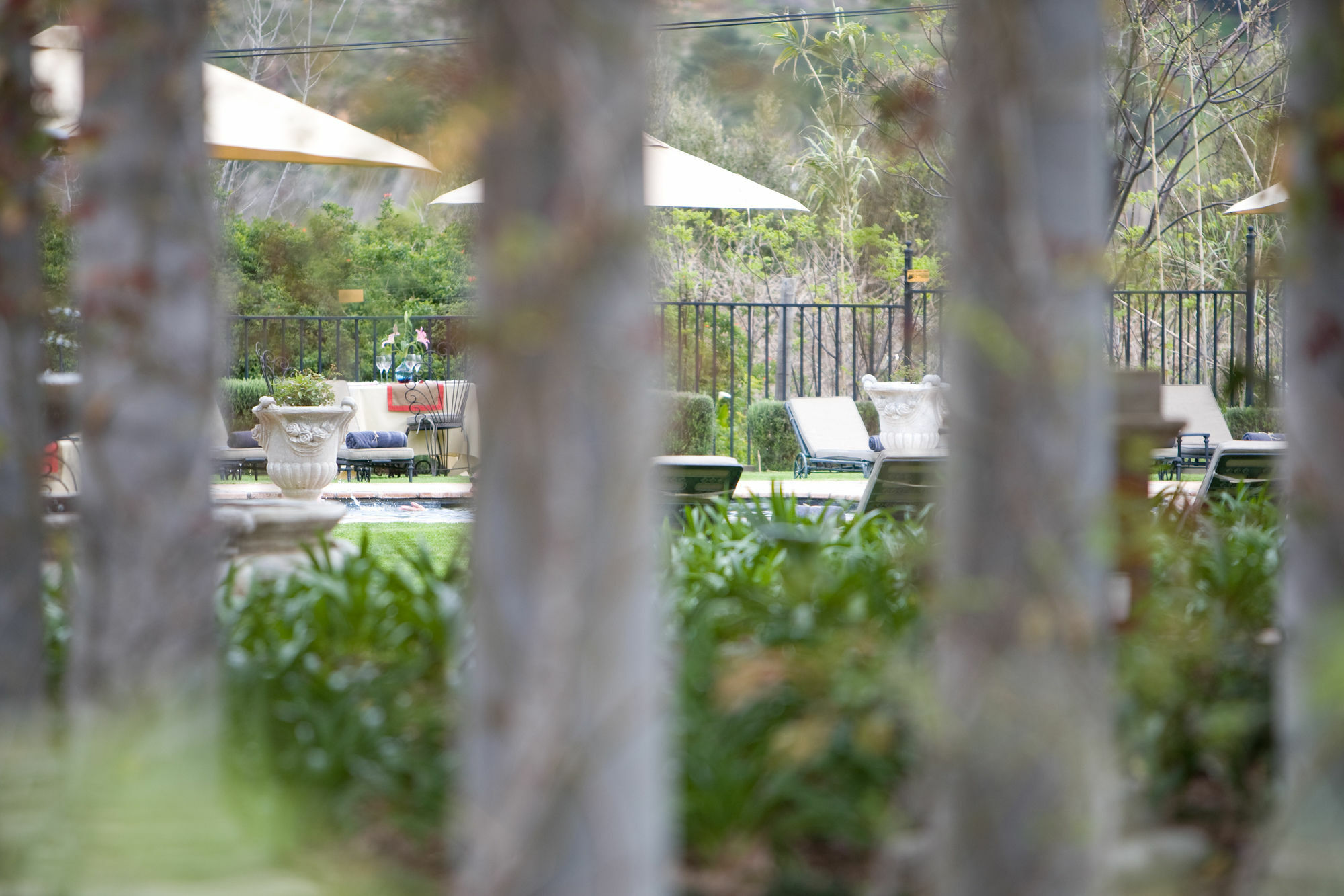 Franschhoek Country House & Villas Exteriér fotografie